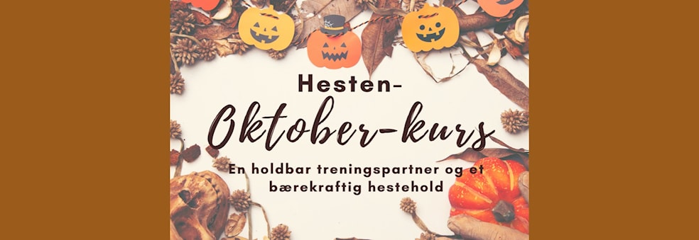Oktober-kurs: Rideleir i høstferien!
